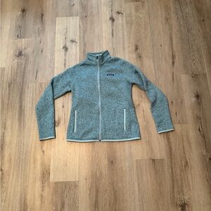 Patagonia Light Blue Fleece Jacket
